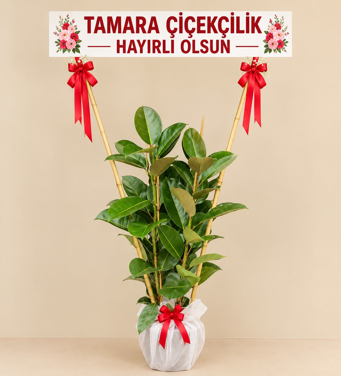 İş yeri Açılış çiçeği -Hayırlı olsun
